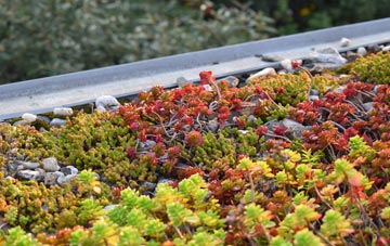 the cost of Norwood green roof installation