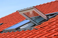 Norwood roof window